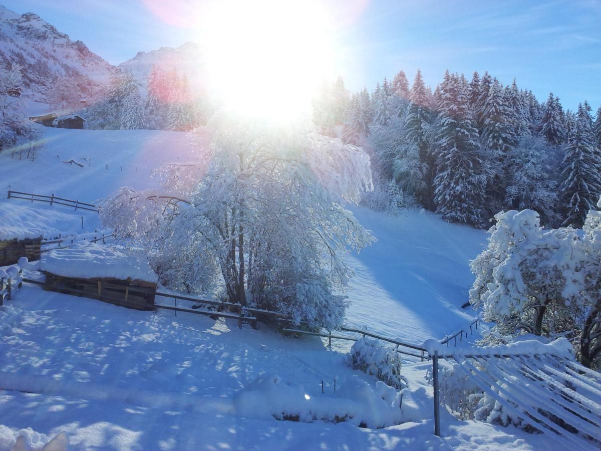 Chalet Viola - Verena'S Loft Wengen Dış mekan fotoğraf