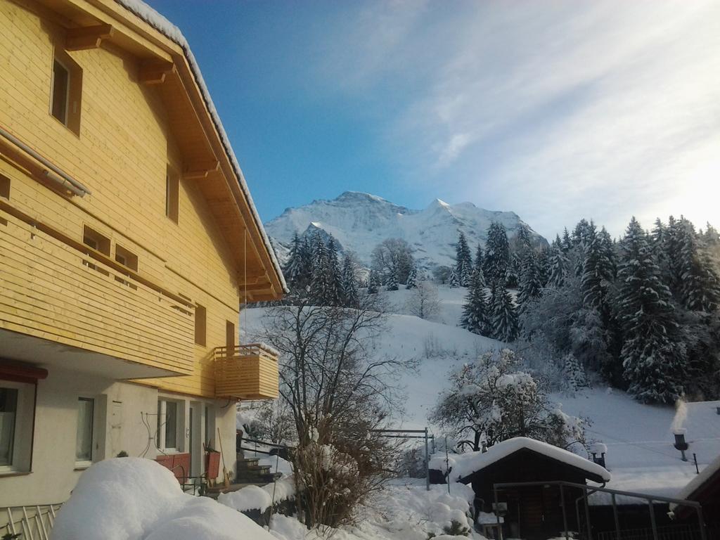 Chalet Viola - Verena'S Loft Wengen Dış mekan fotoğraf